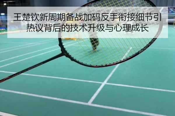 王楚钦新周期备战加码反手衔接细节引热议背后的技术升级与心理成长