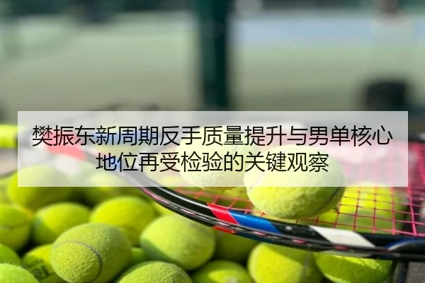 樊振东新周期反手质量提升与男单核心地位再受检验的关键观察